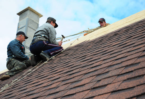 Quick and Trustworthy Emergency Roof Repair Services in Le Sueur, MN